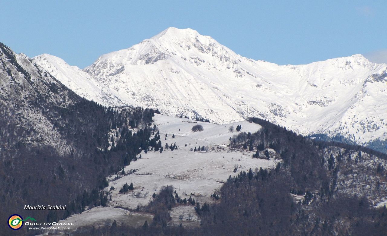 17 Zona Venturosa. I pascoli dei Campelli, sopra Era. Sullo sfondo il Fioraro....JPG